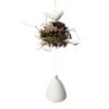 UPĖ 2 Nest